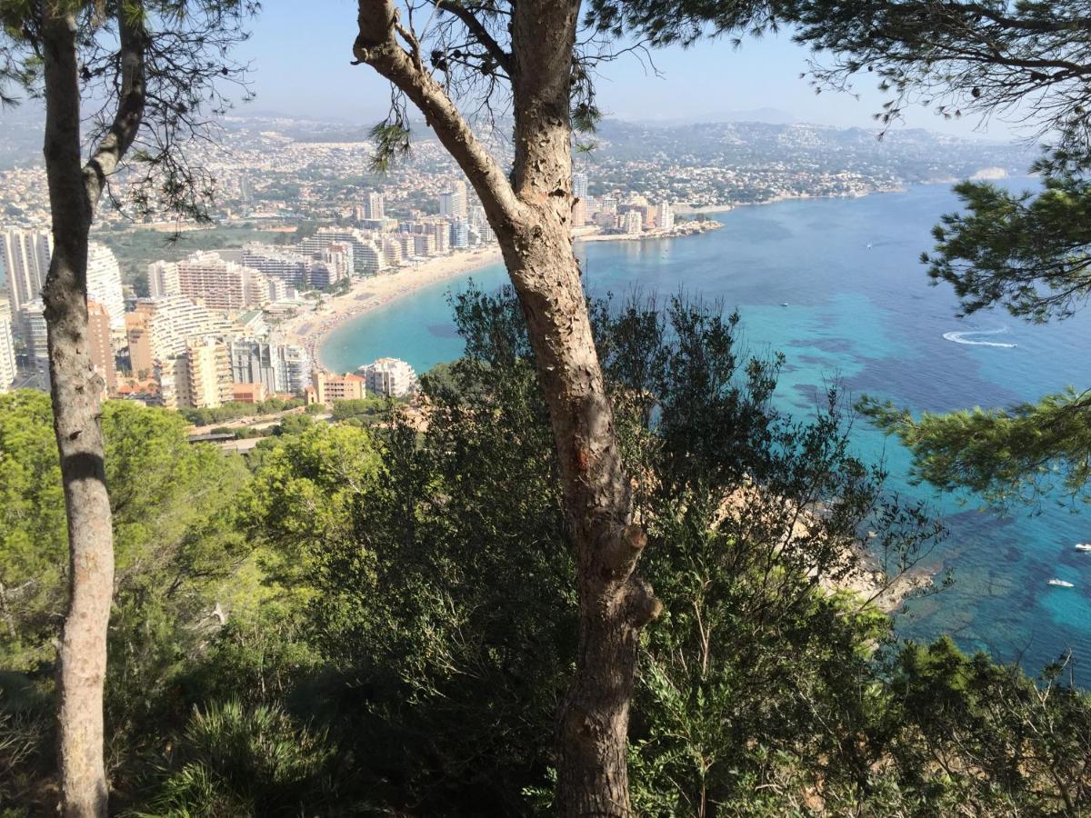Mesana 102 / Penthouse Lägenhet Calpe Exteriör bild
